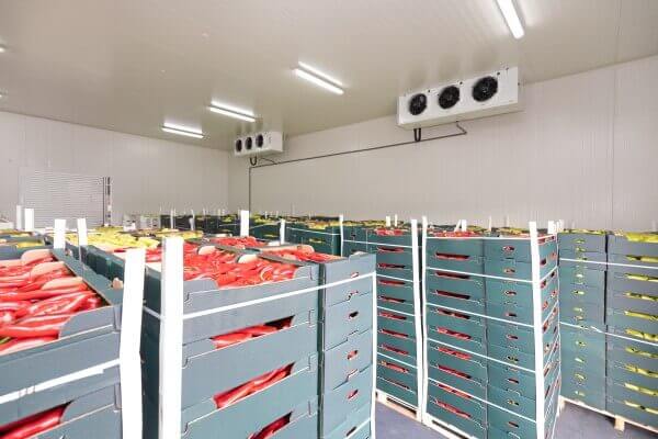 Cold-Storage-Industry